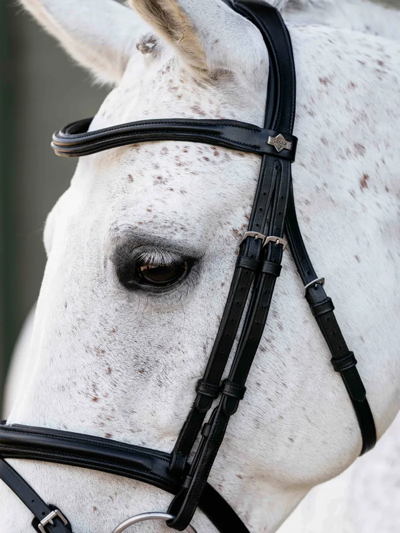 LeMieux Arika Flash Bridle - Black/Silver-2