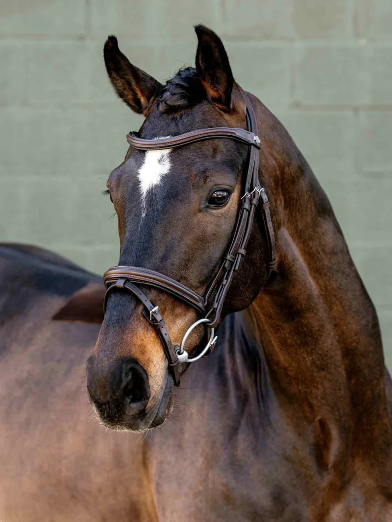 LeMieux Arika Flash Bridle - Brown/Silver