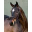 LeMieux Arika Flash Bridle - Brown/Silver