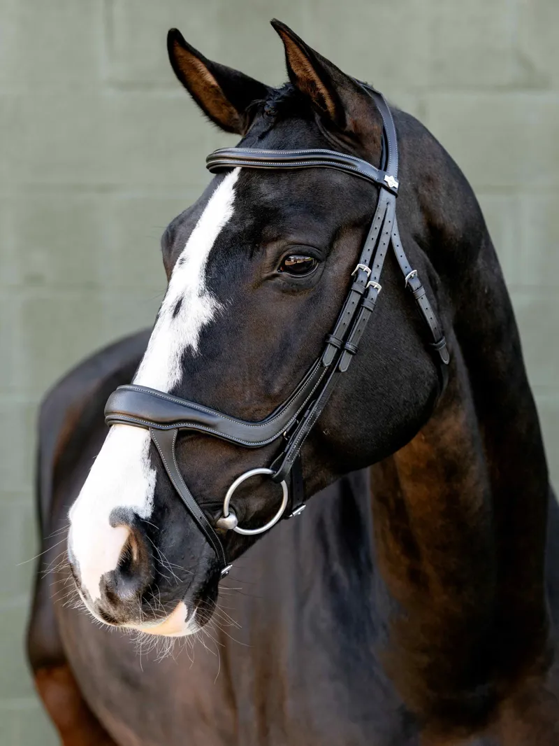 LeMieux Arika Split Noseband Bridle - Black/Silver
