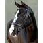 LeMieux Arika Split Noseband Bridle - Black/Silver
