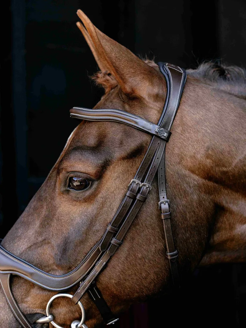 LeMieux Arika Split Noseband Bridle - Brown/Silver-2