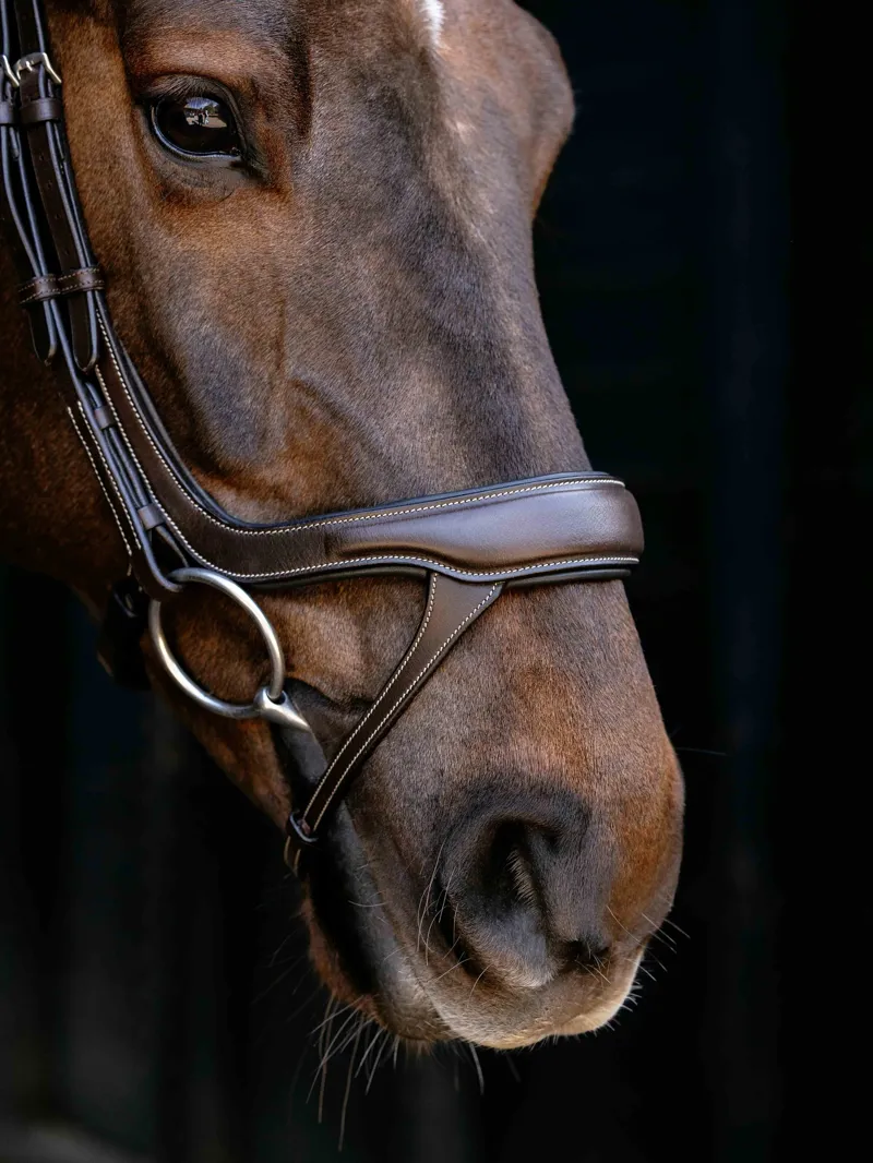 LeMieux Arika Split Noseband Bridle - Brown/Silver-3