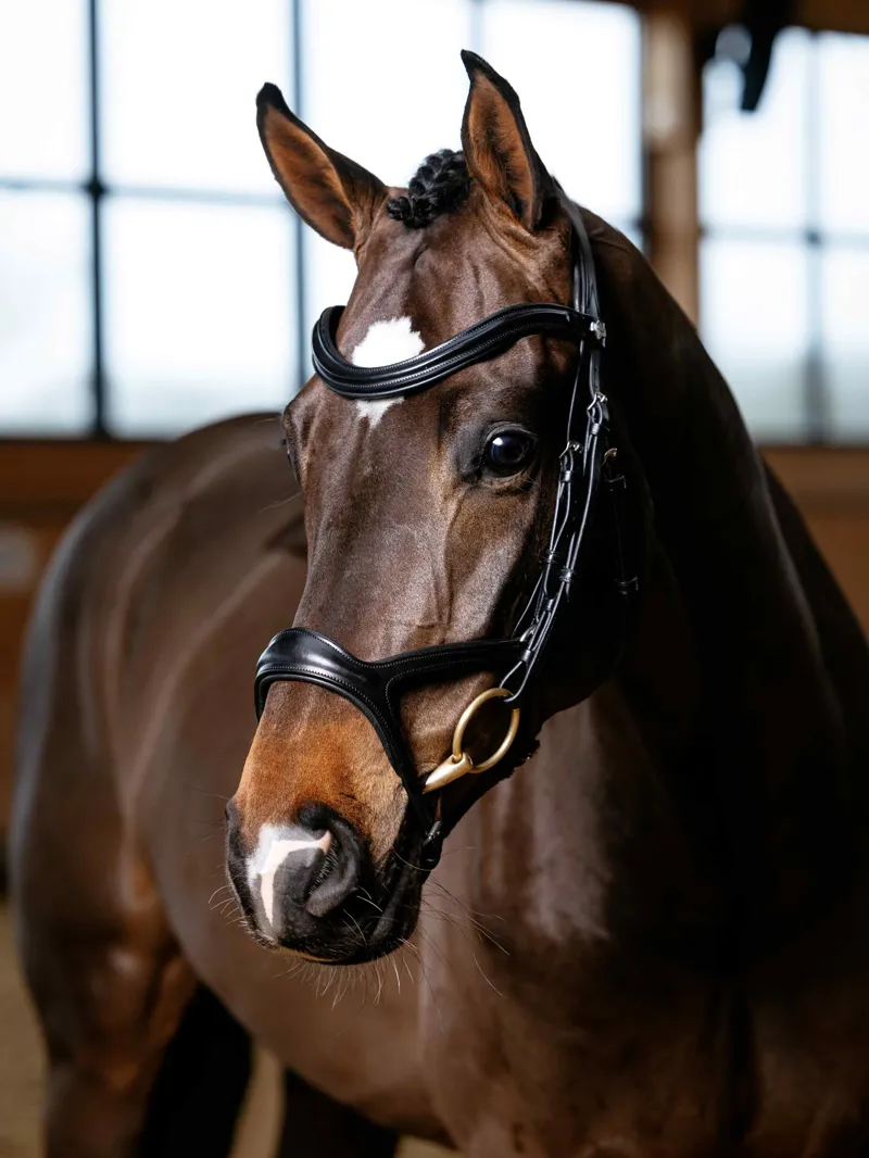 LeMieux Kudos Sport Bridle - Black/Silver-1