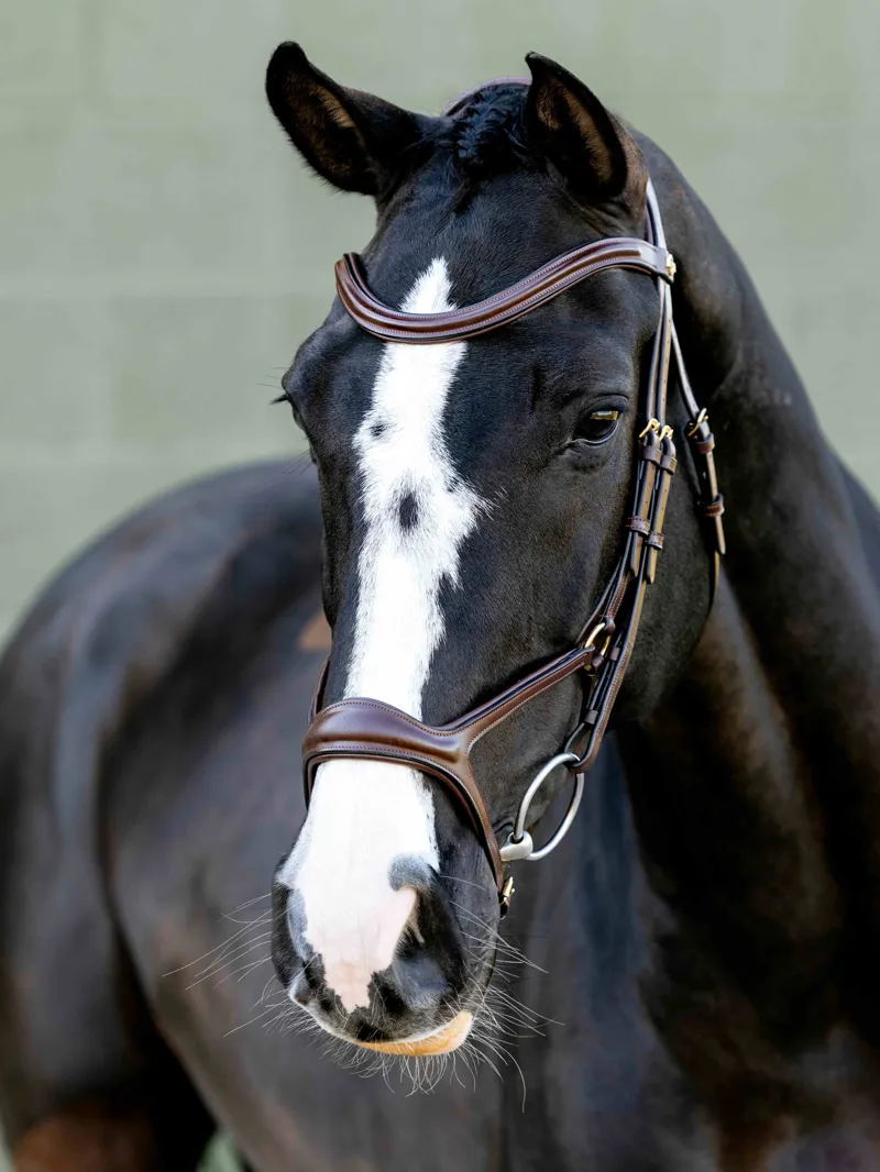 LeMieux Kudos Sport Bridle - Havana/Brass-1