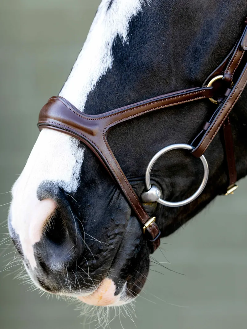 LeMieux Kudos Sport Bridle - Havana/Brass-2