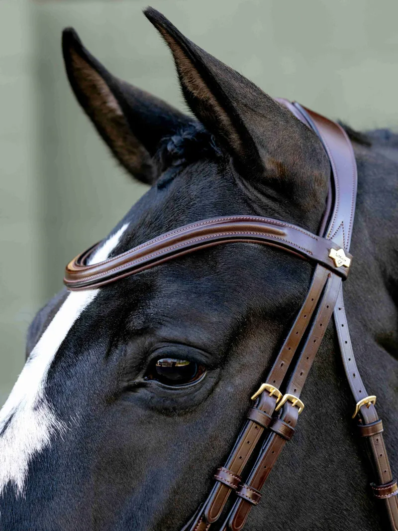 LeMieux Kudos Sport Bridle - Havana/Brass-3