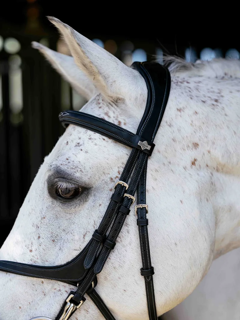 LeMieux Kudos Grackle Work Bridle - Black-3