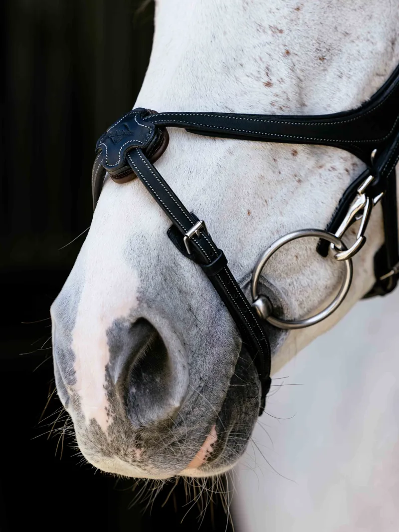 LeMieux Kudos Grackle Work Bridle - Black-2