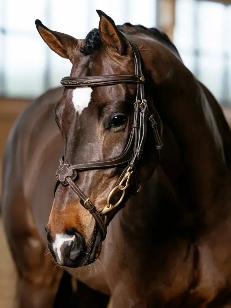 LeMieux Kudos Grackle Work Bridle - Brown-1