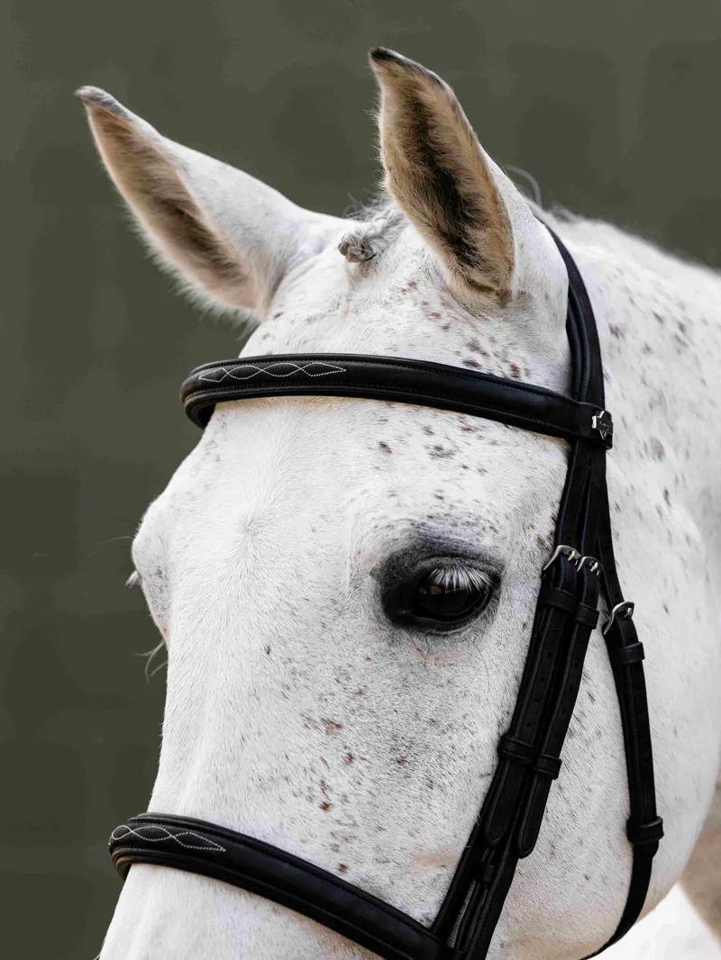 LeMieux Arika Classique Cavesson Bridle - Black-3