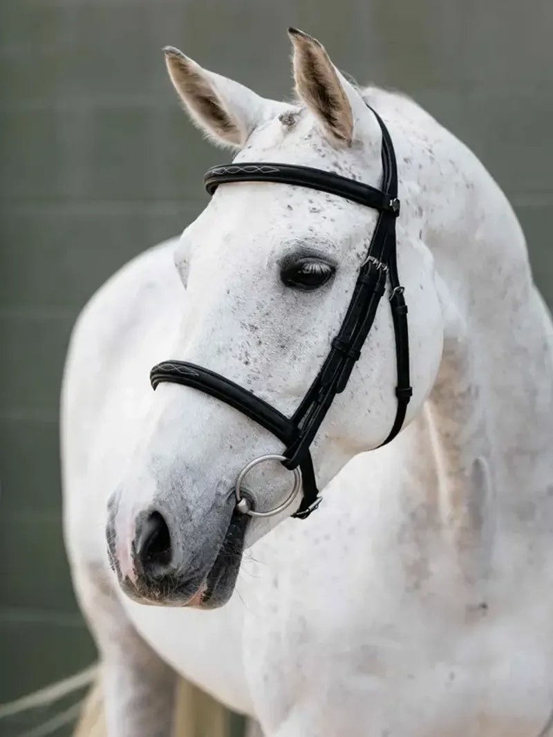 LeMieux Arika Classique Cavesson Bridle - Black-1