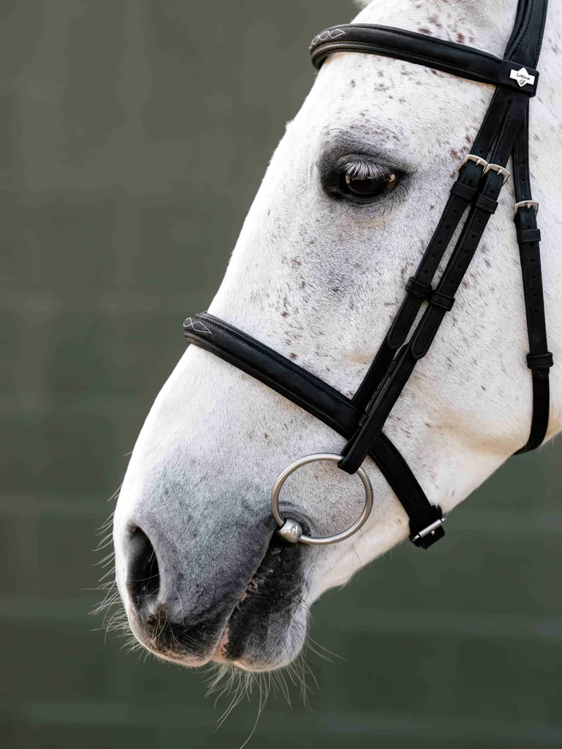 LeMieux Arika Classique Cavesson Bridle - Black-2