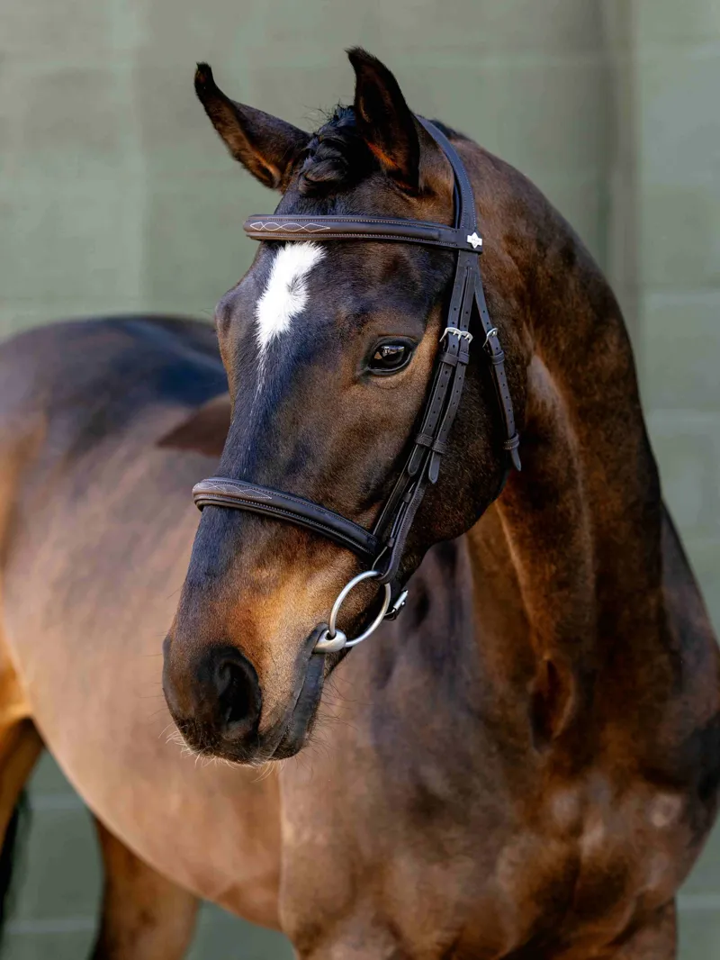 LeMieux Arika Classique Cavesson Bridle - Brown-1