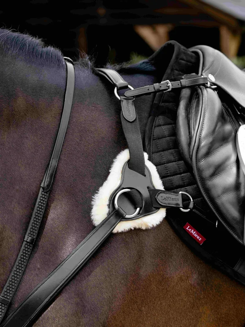 LeMieux Kudos 5 Point Bridge Breastplate - Black-3