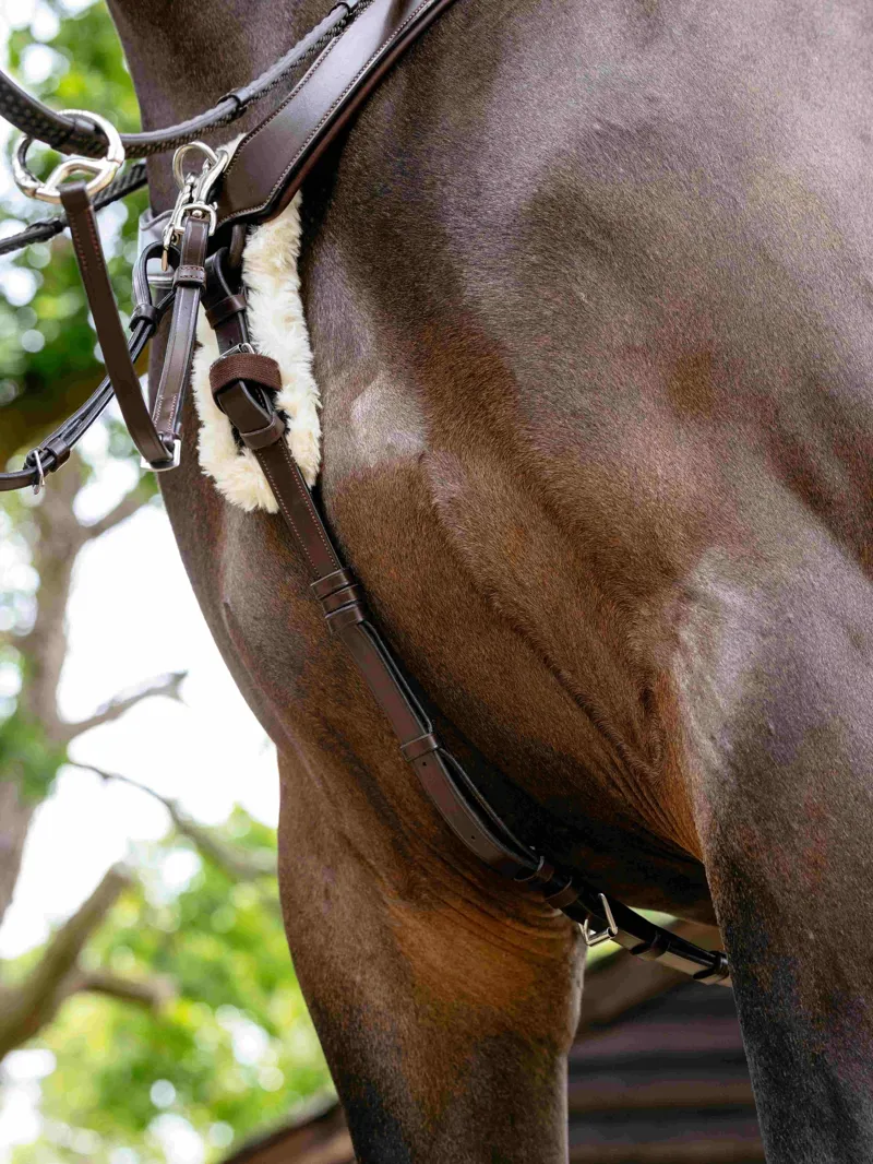 LeMieux Kudos 5 Point Bridge Breastplate - Havana-3