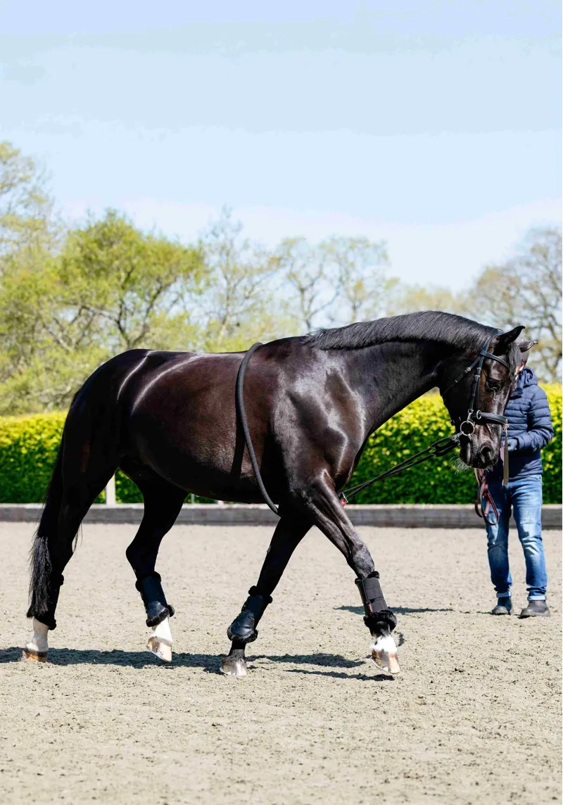 LeMieux Rope Lunging Aid - Black-1
