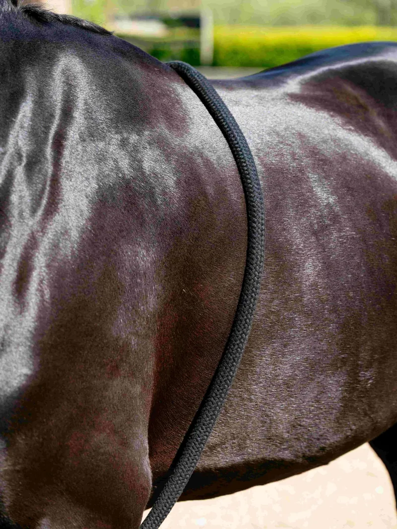 LeMieux Rope Lunging Aid - Black-2