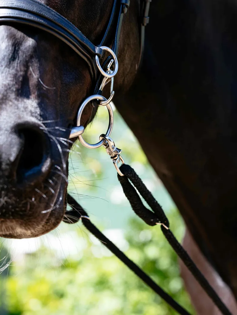 LeMieux Rope Lunging Aid - Black-3
