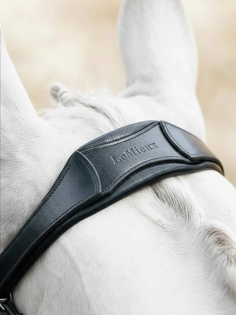 LeMieux Arika Flash Bridle - Black/Silver-1