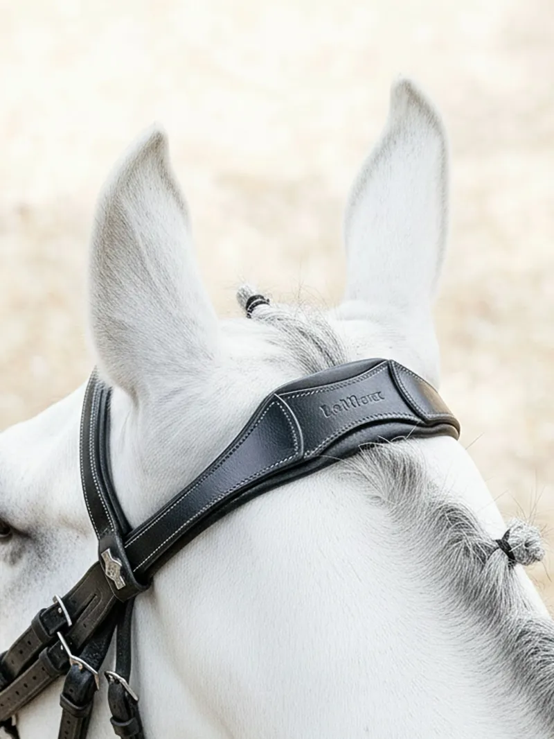 LeMieux Arika Adjustable Anatomic Noseband Bridle - Black/Silver-3