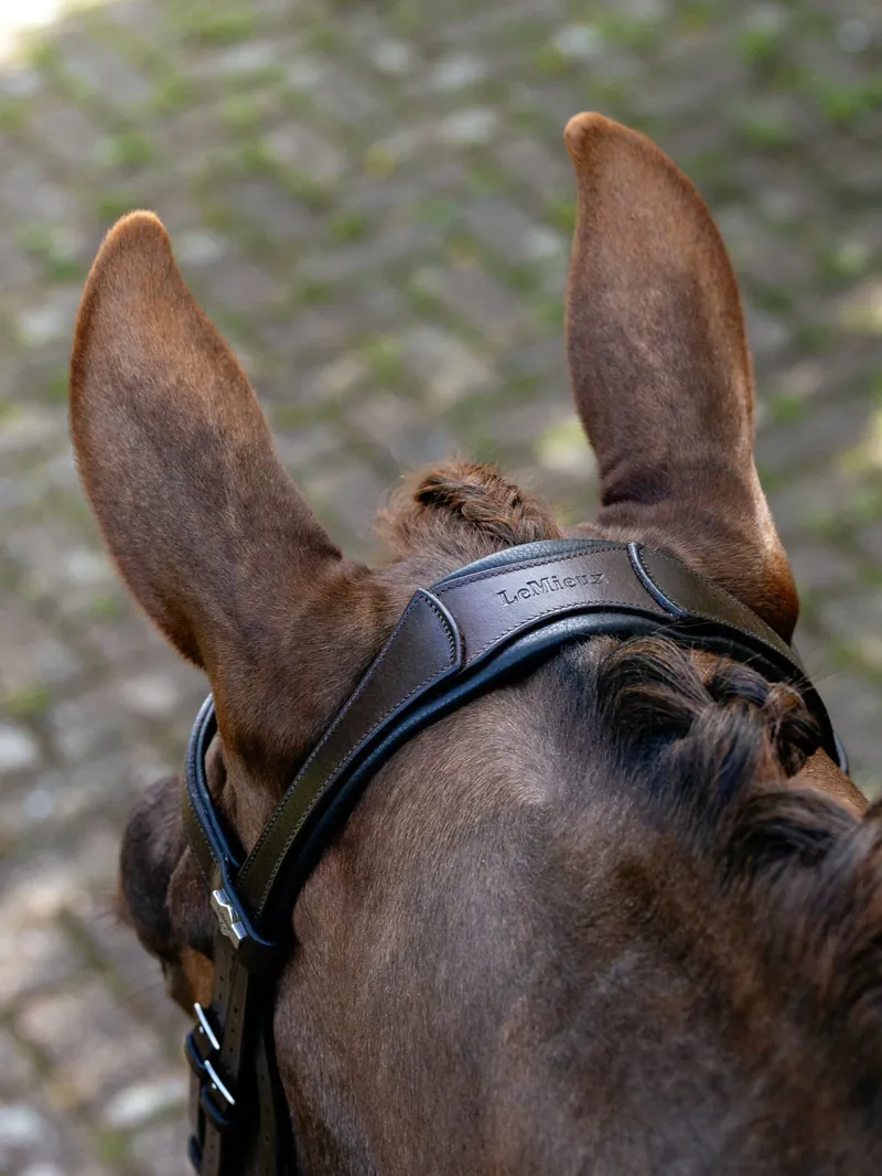 LeMieux Arika Split Noseband Bridle - Brown/Silver-1