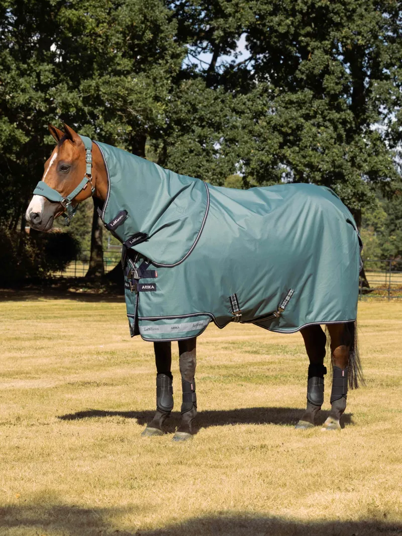 LeMieux Arika Ripstop 0g Turnout Rug - Aloe