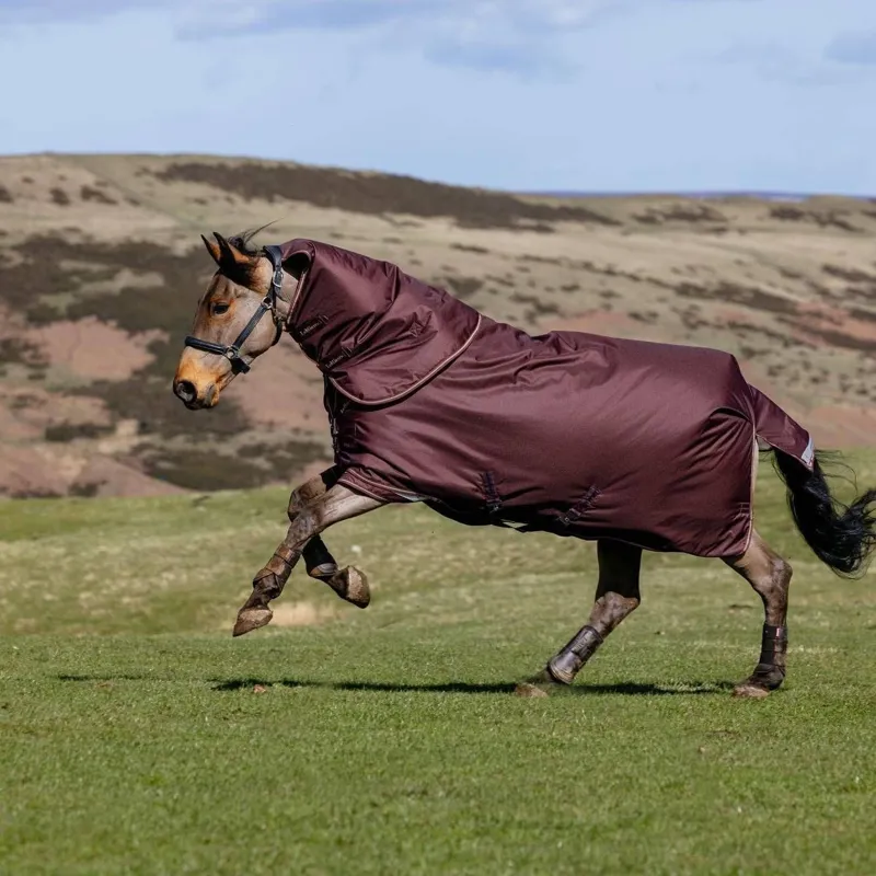 LeMieux Arika Ripstop 100g Turnout Rug - Bramble-1
