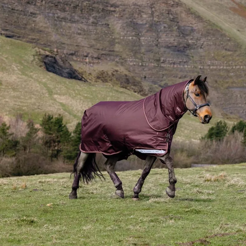 LeMieux Arika Ripstop 100g Turnout Rug - Bramble