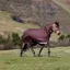 LeMieux Arika Ripstop 100g Turnout Rug - Bramble
