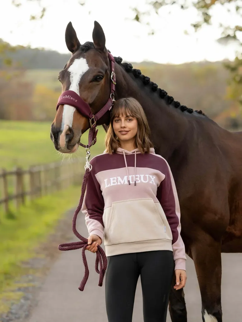 LeMieux Kadie Colour Block Hoodie - Wild Rose-1
