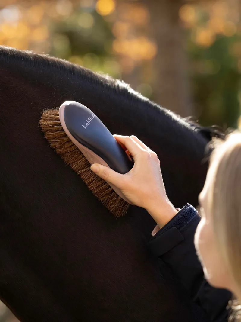 LeMieux Dandy Brush - Navy-1