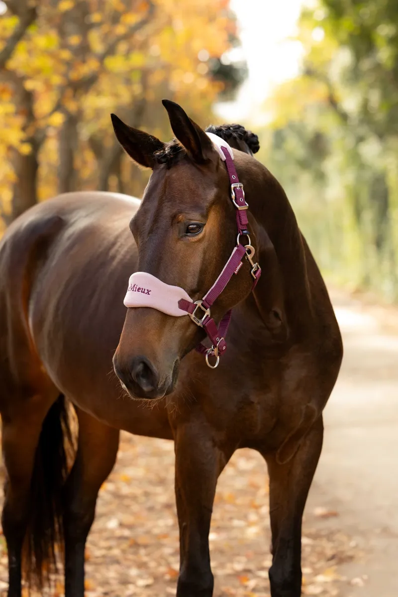 LeMieux Vogue Headcollar and Leadrope - Blackberry-1