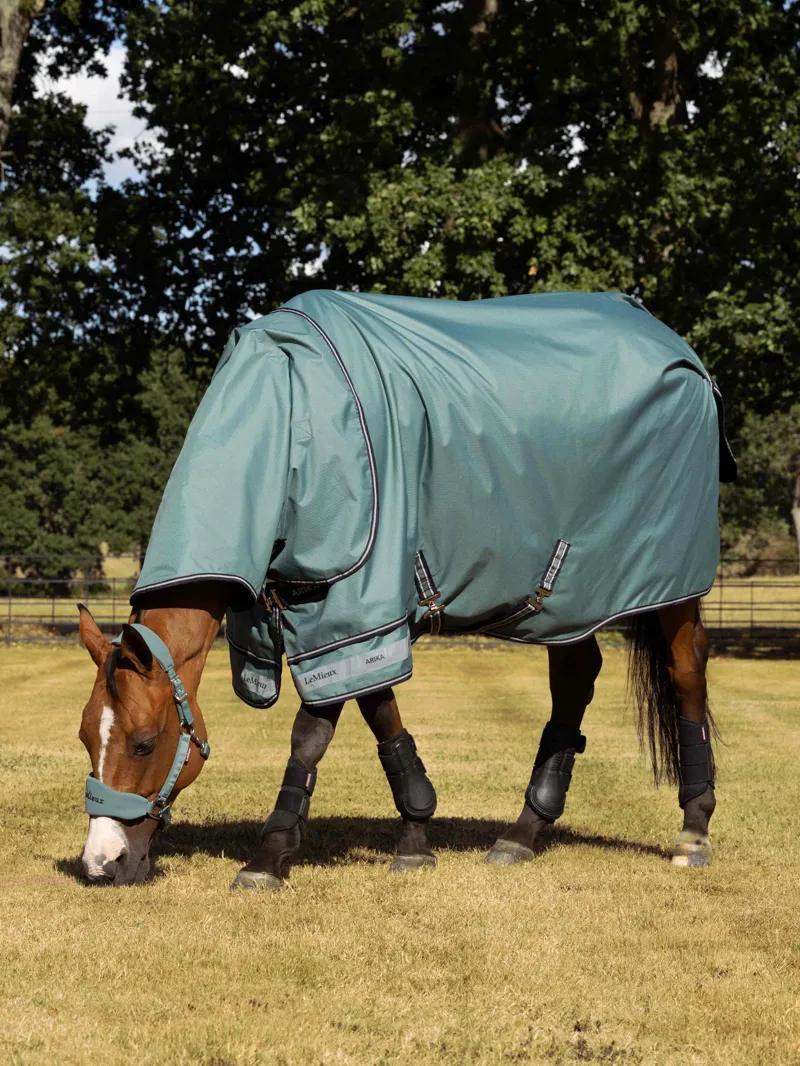 LeMieux Arika Ripstop 0g Turnout Rug - Aloe-1