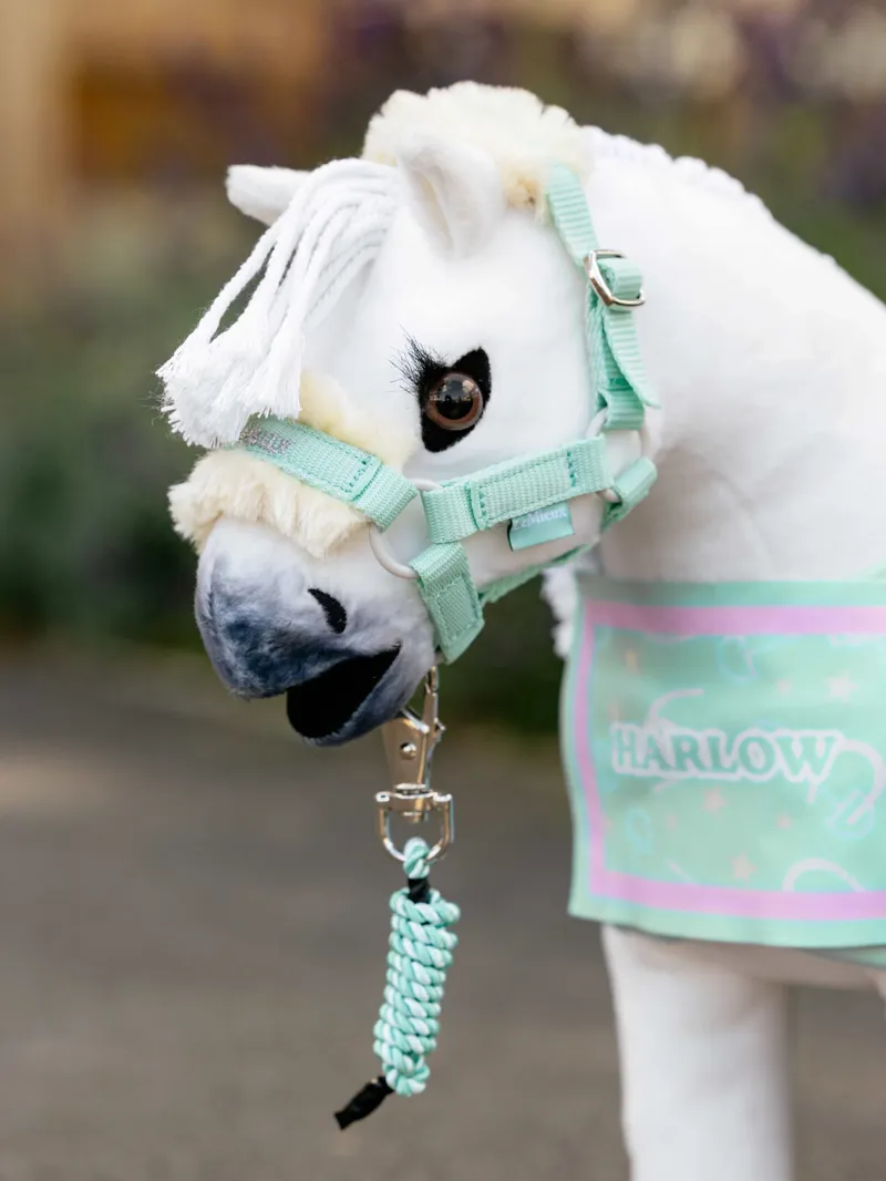 LeMieux Harlow Toy Pony Headcollar and Leadrope - Softmint-1
