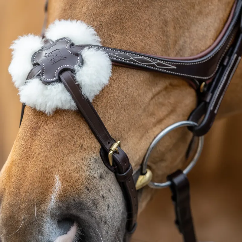 LeMieux Kudos Grackle Bridle - Chestnut-2
