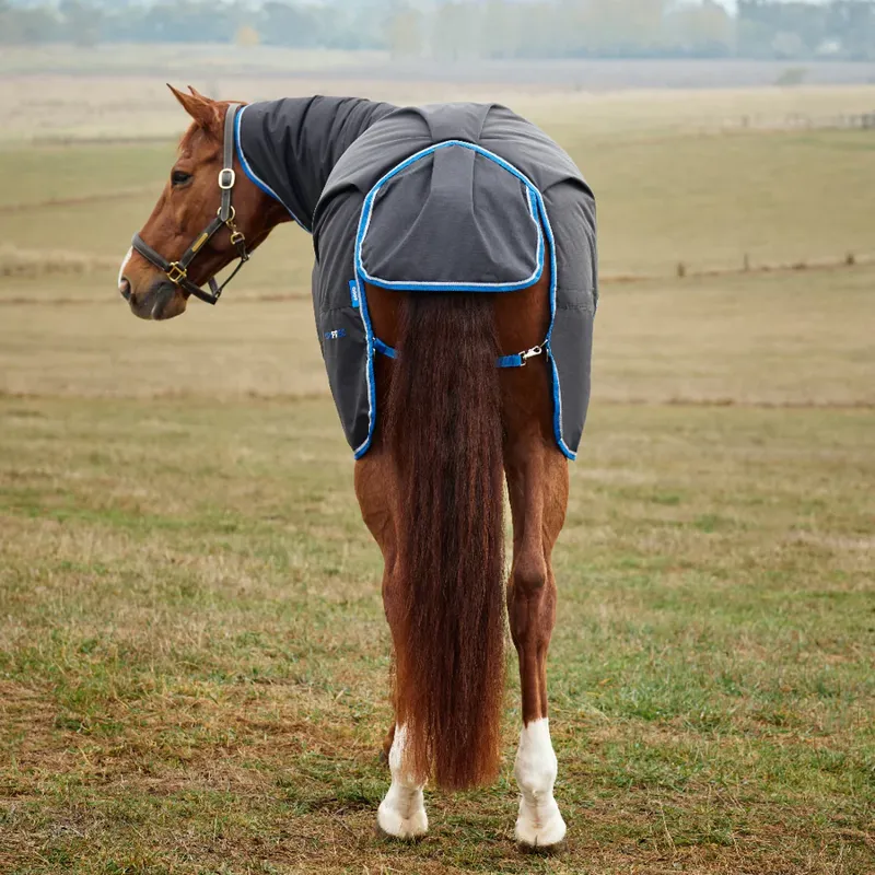 WeatherBeeta ComFiTec Tyro 220g Turnout Rug Combo Neck - Black/Cobalt -3