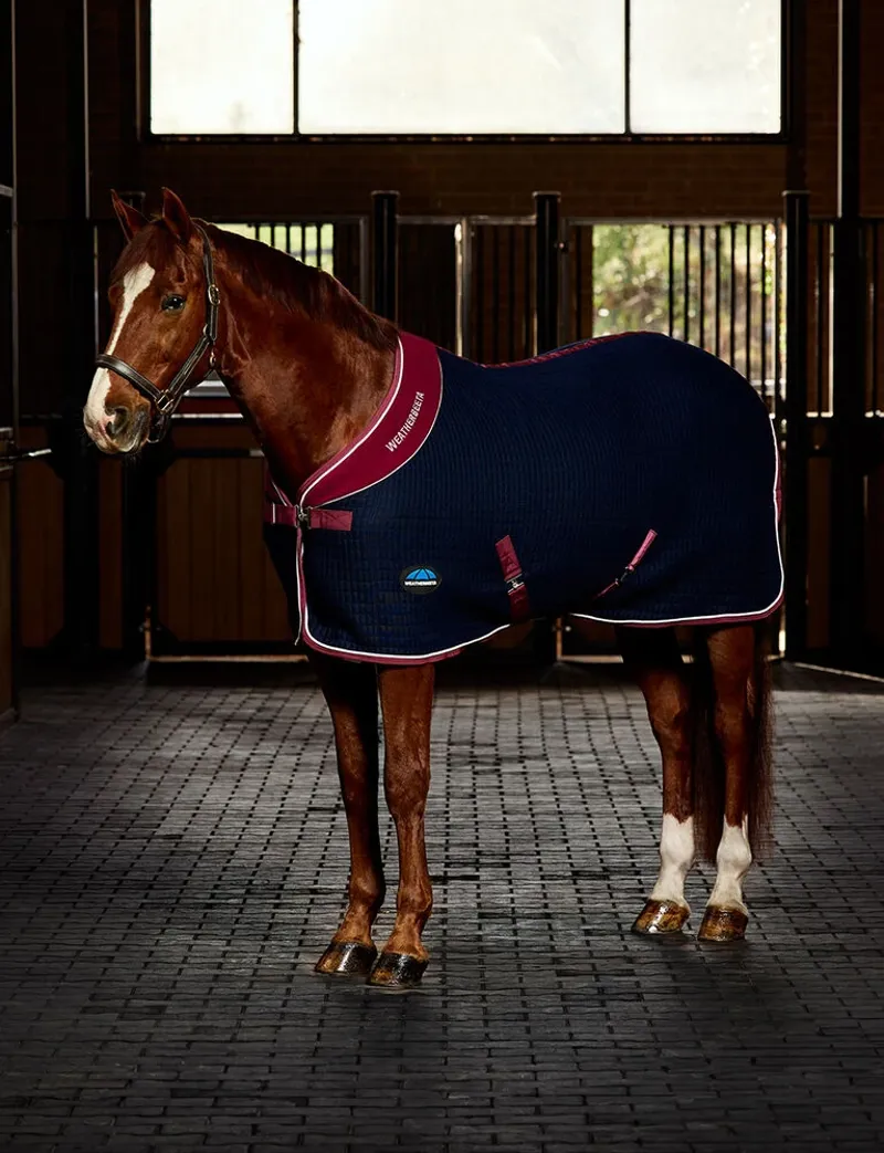 WeatherBeeta Thermocell Cooler Rug Standard Neck Navy/Burgundy