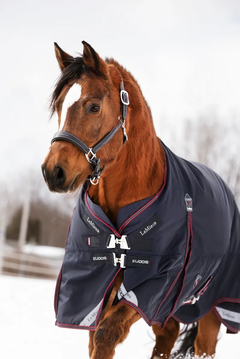 LeMieux Kudos Turnout Rug 0g - Navy-3