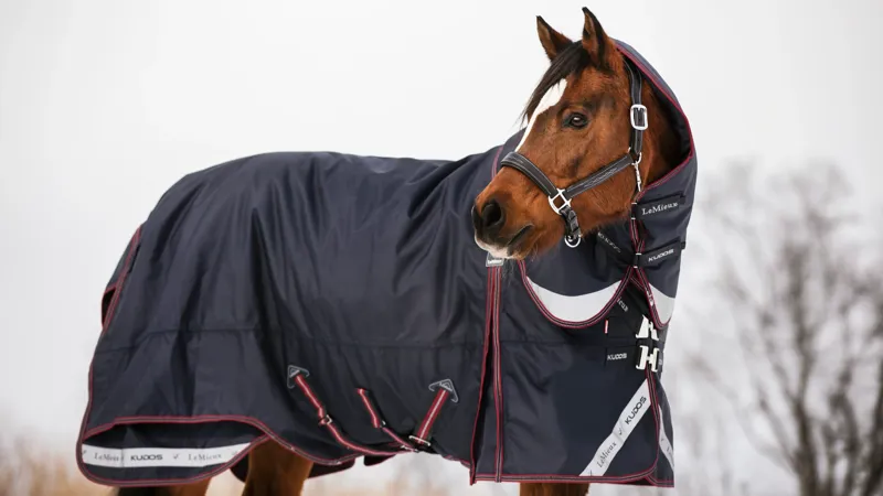LeMieux Kudos Turnout Rug 0g - Navy