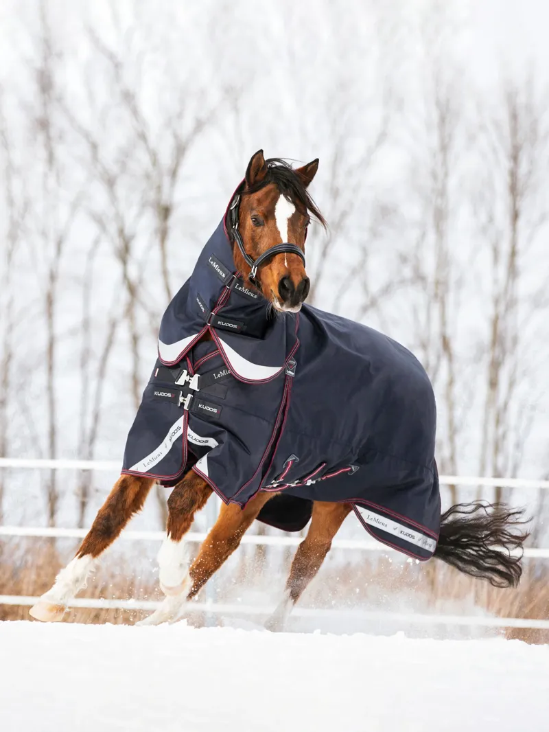 LeMieux Kudos Turnout Rug 0g - Navy-2