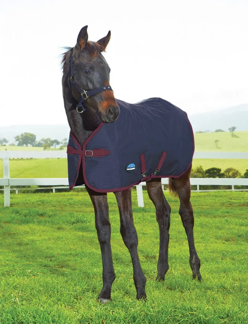 WeatherBeeta 1200D Foal 220g Standard Neck Turnout Rug - Navy/Burgundy