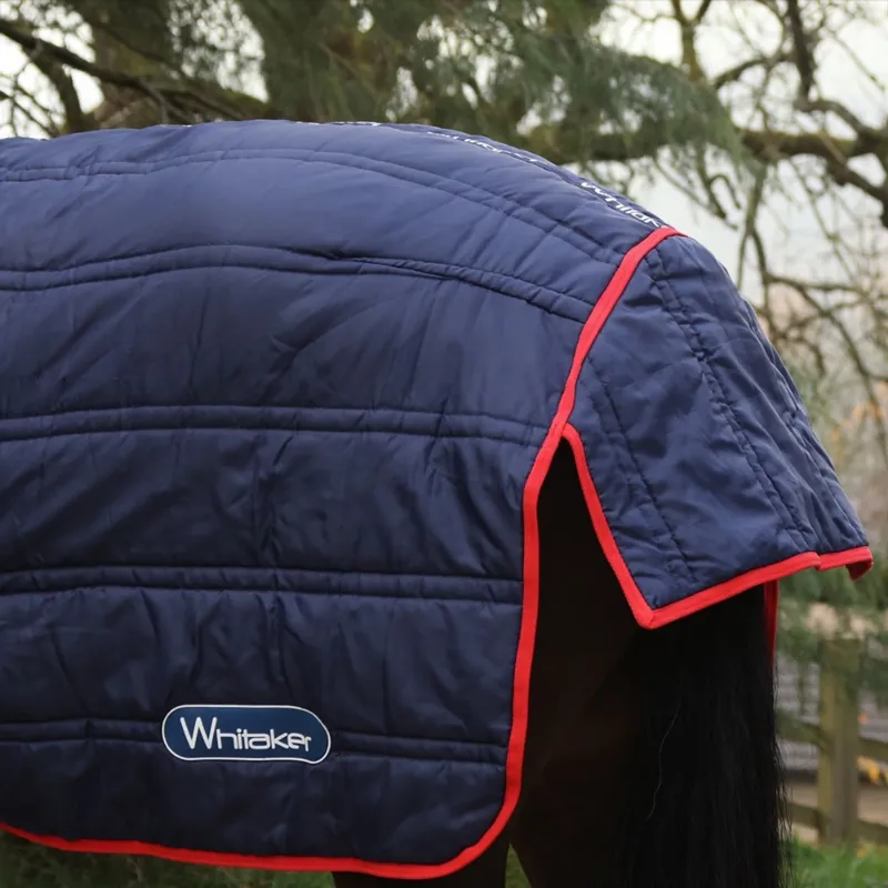 John Whitaker Rastrick 250g V2 Detachable Neck Stable Rug - Navy-3