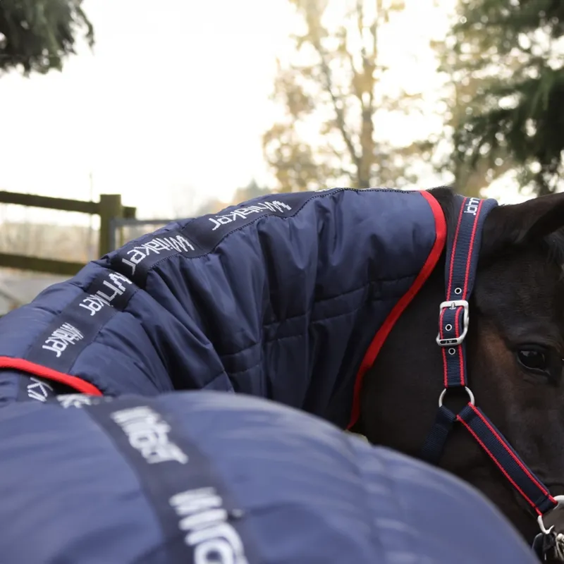 John Whitaker Rastrick 250g V2 Detachable Neck Stable Rug - Navy-2