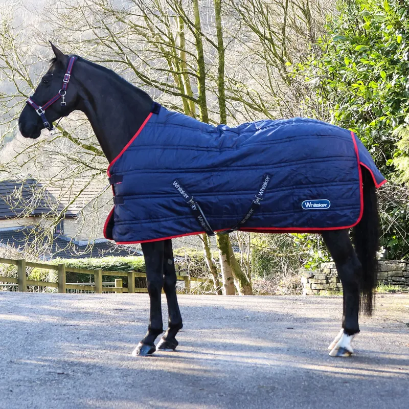 John Whitaker Rastrick 200g V2 Stable Rug - Navy