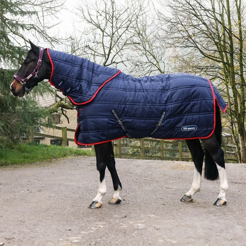 John Whitaker Rastrick 250g V2 Detachable Neck Stable Rug - Navy-1