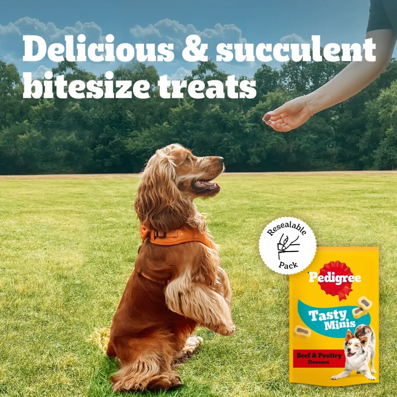 Pedigree Tasty Minis Chewy Beed and Poultry Dog Treats - 155g Pack-4