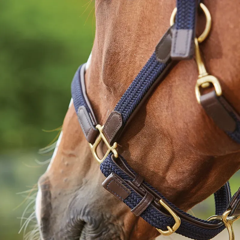 Kincade Braided Leather Headcollar - Navy-2
