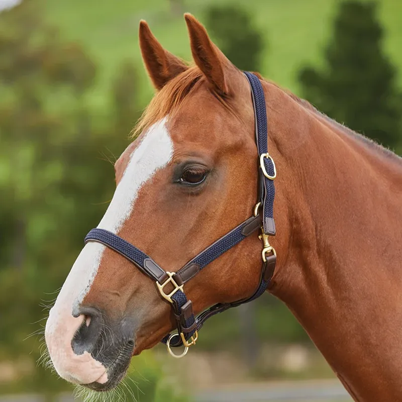 Kincade Braided Leather Headcollar - Navy