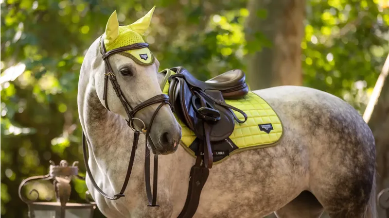 LeMieux Loire Fly Hood - Kiwi-2